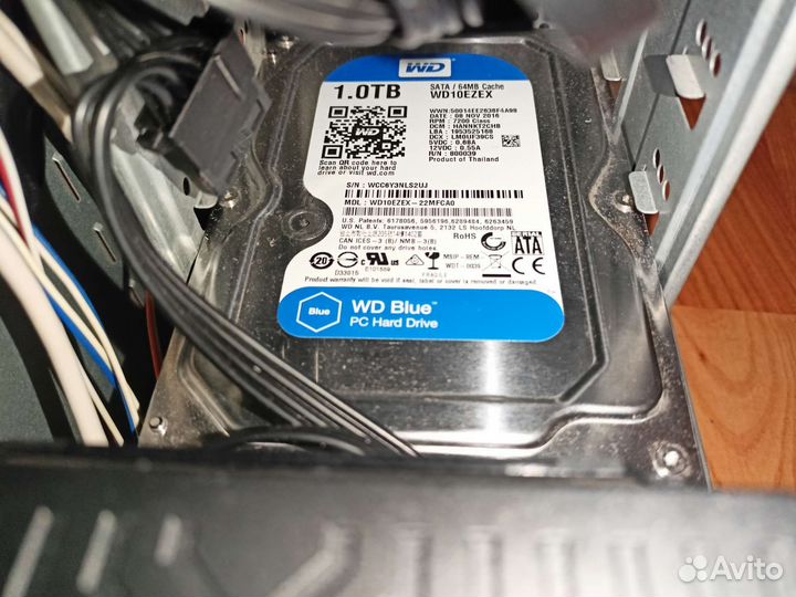 Жесткий диск 1 тб wd blue