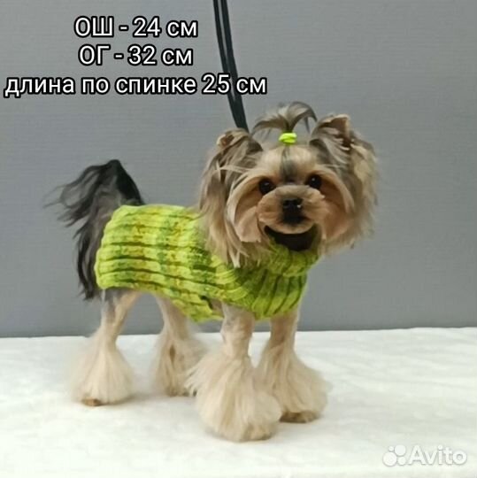 Вязаная одежда для собак