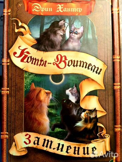 Коты-воители