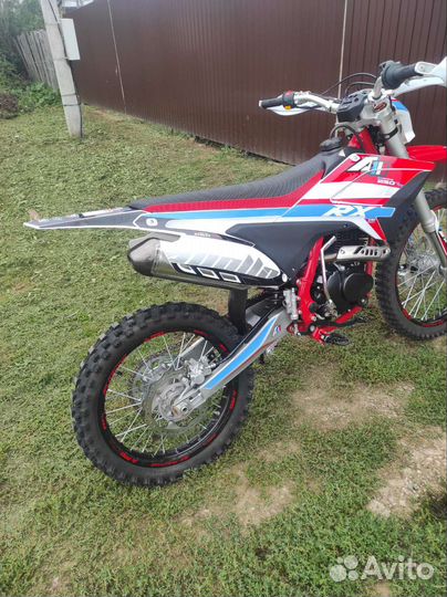 Apollo rx 250