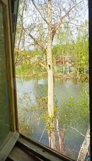 Дача 33 м² на участке 3 сот.