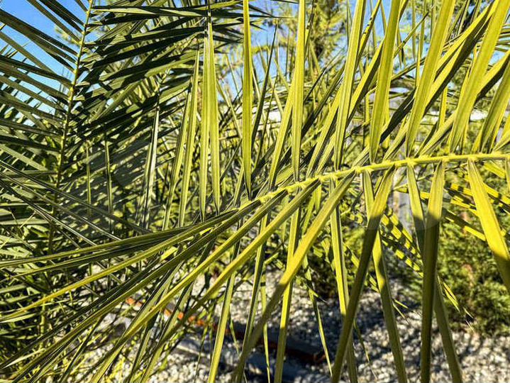 Дом 250 м² на участке 6 сот.