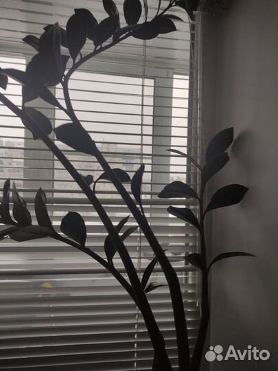 Держатель для украшений