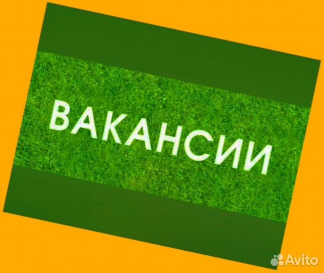 Сборщик заказов Выплаты еженедельно Без опыта М/Ж