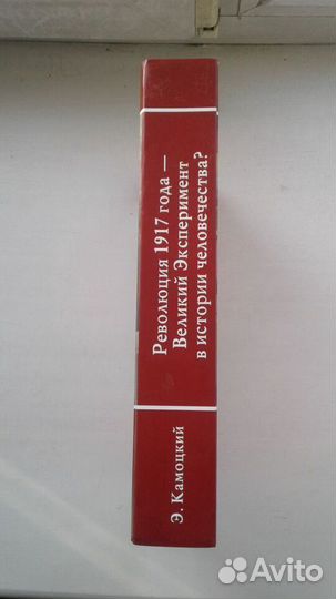 Камоцкий. Революция 1917 года