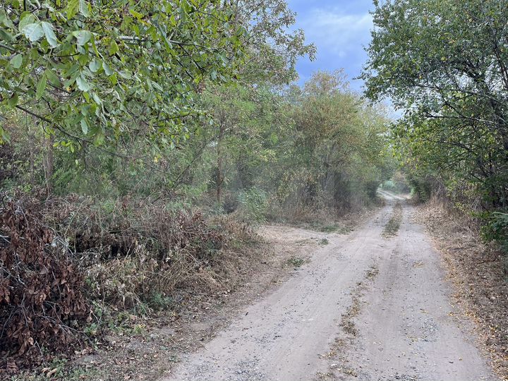 Участок 12 сот. (СНТ, ДНП)