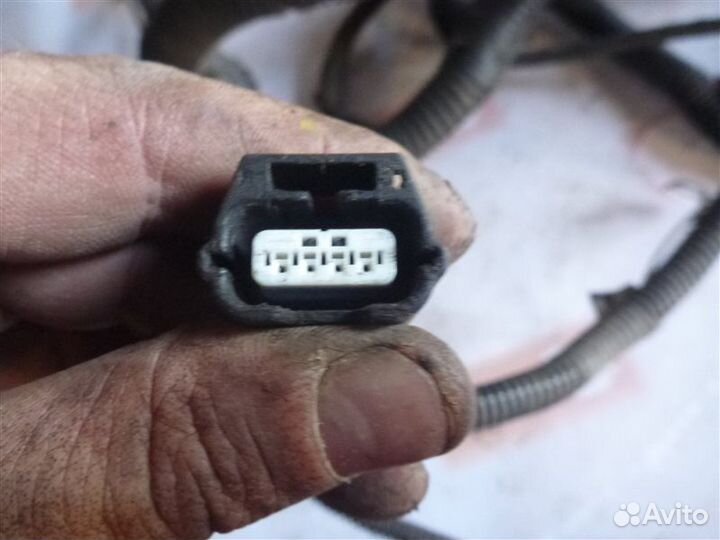 Проводка Renault Logan LS12 K7J710 2010