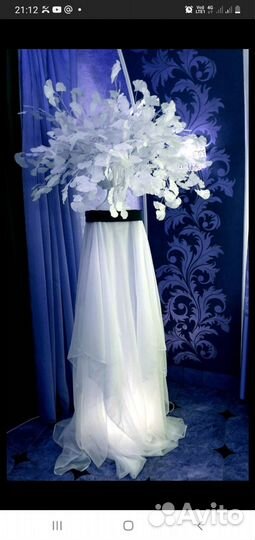 Ветки гинго