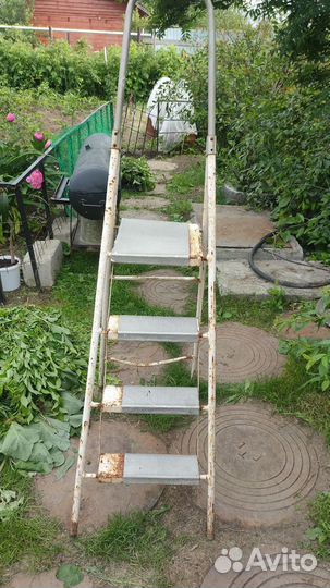 Когти -Лебедка больш,маль