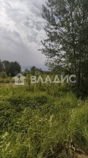 Участок 50 сот. (личное подсобное хозяйство (лпх))