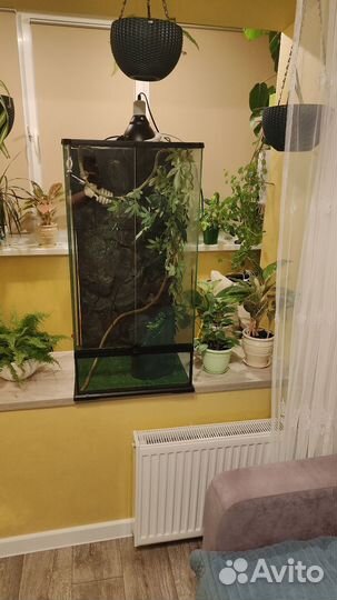 Террариум для хамелеона 90 45 45