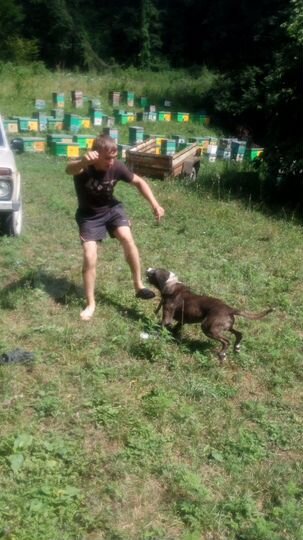 Участок 41 сот. (СНТ, ДНП)