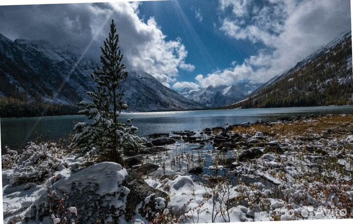 На Алтай зимой тур путевка экскурсия от 5 дн