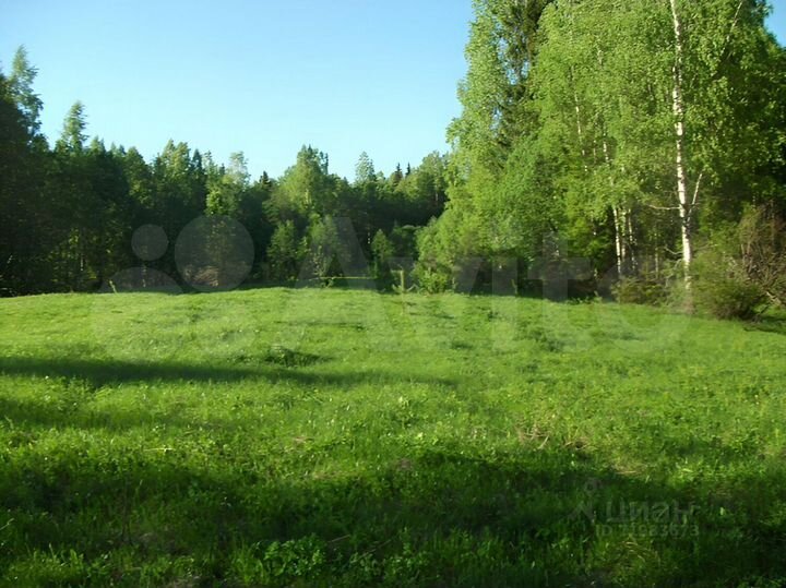 Участок 11,35 га (СНТ, ДНП)