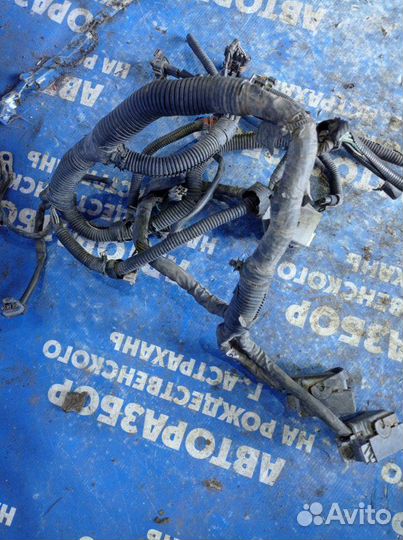 Проводка подкапотная Hyundai Accent седан G4EC