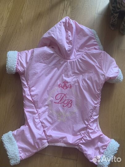 Одежда для собак