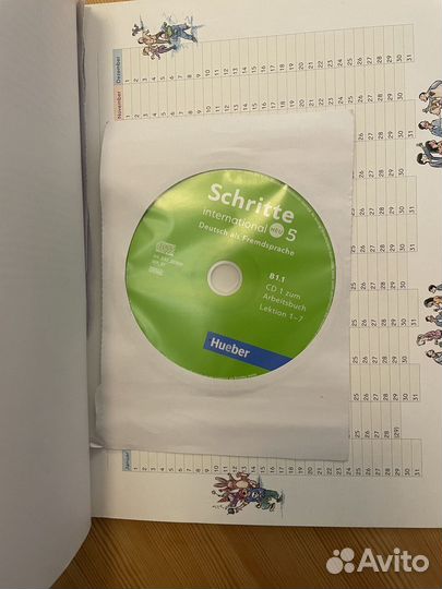 Schritte international new B1.1