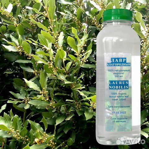 Натуральный тоник лавра благородного