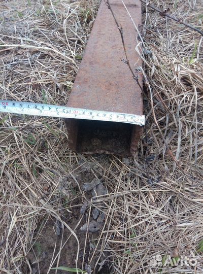 Коники, рога