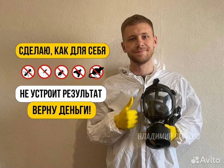 Уничтожение тараканов, клопов, плесени/Дезинфекция