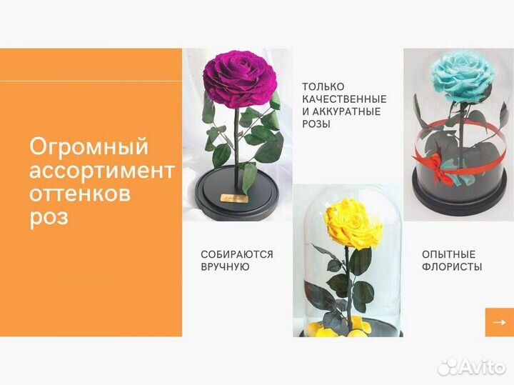 Роза в колбе. Живая
