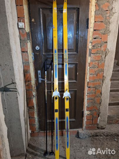 Беговые лыжи