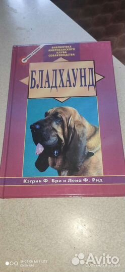 Бладхаунд. Книга