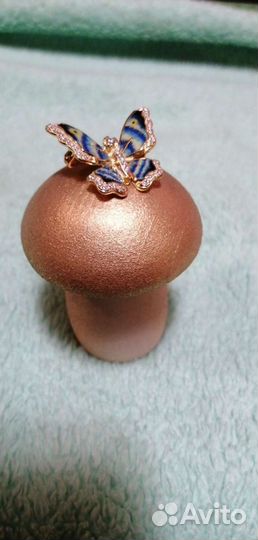 Грибы для газона