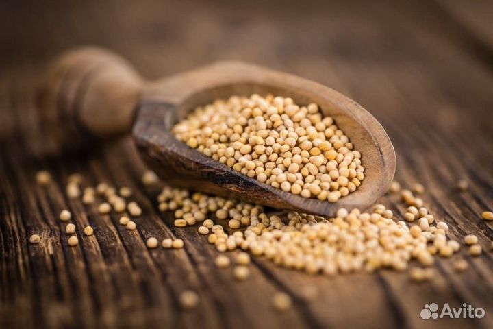 Сидераты Овёс,Горчица,Рожь озимая