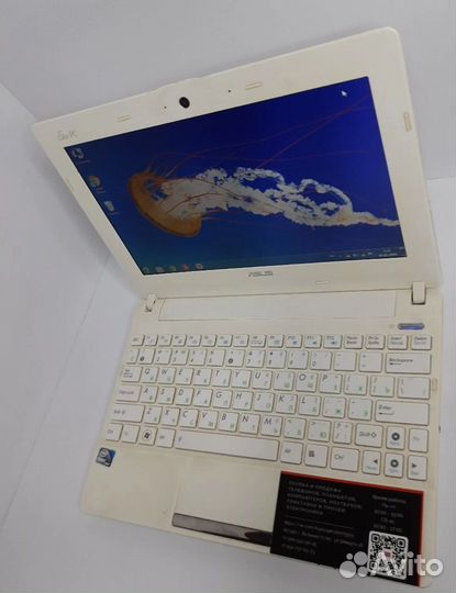 Acer