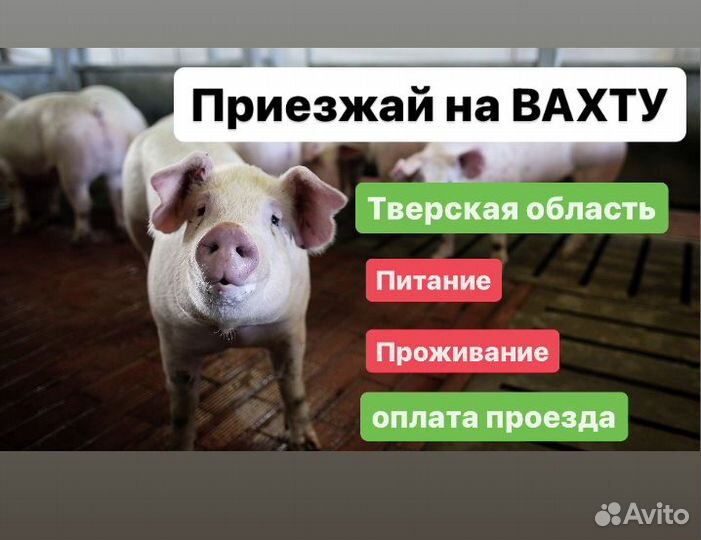 Оплатим Дорогу.Обвальщики вахтой