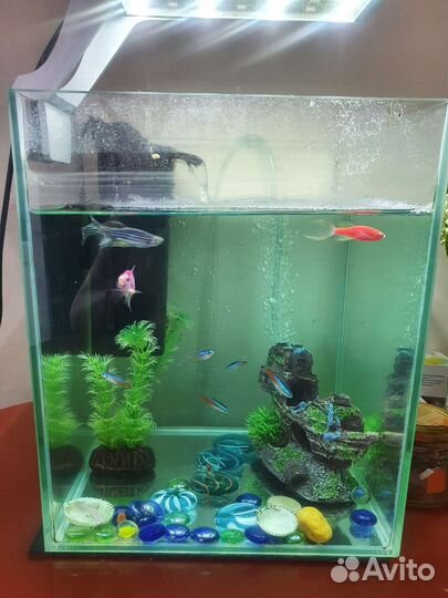 Аквариум
