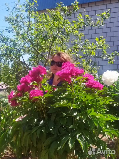 Набор текста, сканирование