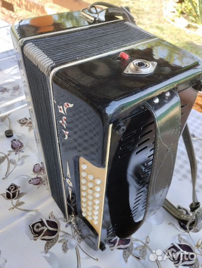 Гармонь Беларусь, обслужена