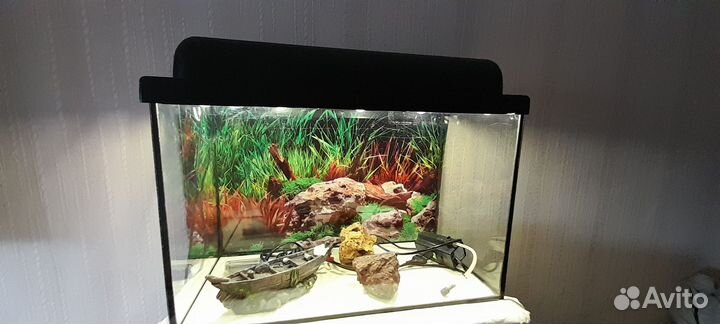 Аквариум