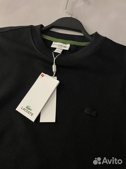 Свитшот Lacoste мужской