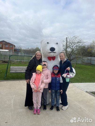 Белый мишка поздравление