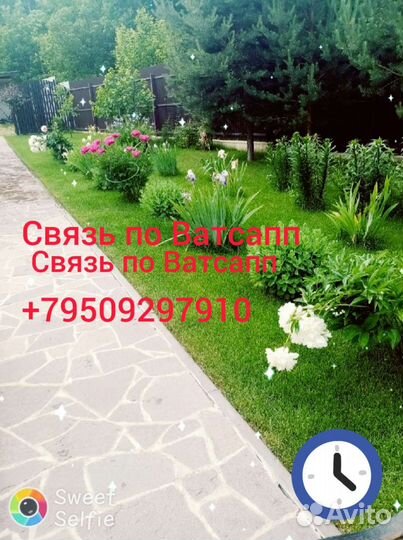 Садовник, помощник по хозяйству