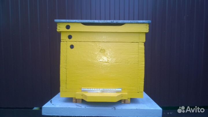 Ульи Дадан 12 рамочные