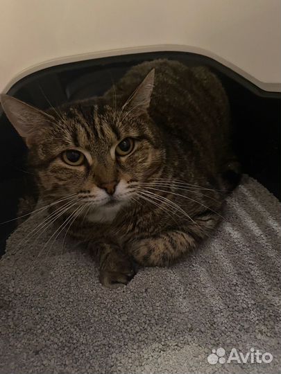 Лизоньке некуда идти через 2 дня