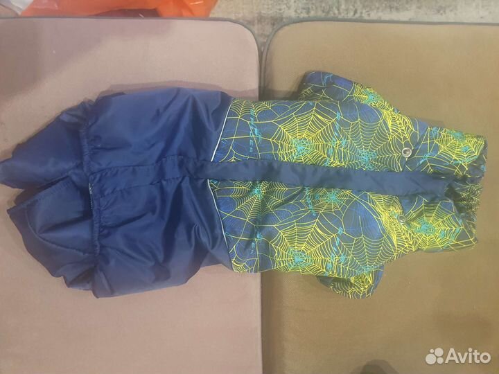 Одежда для собак мелких пород