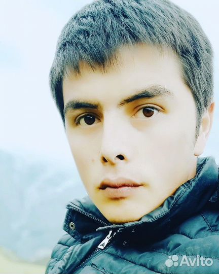 Авто моляр