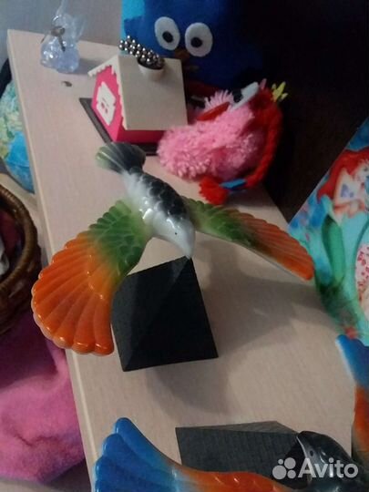 Парящие орлы