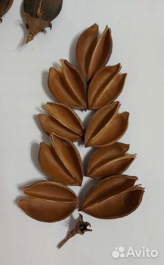 Материал для экокомпозиций