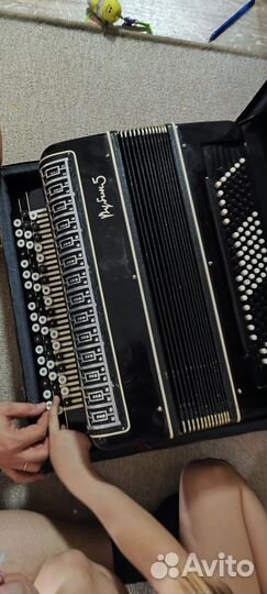 Баян рубин 5