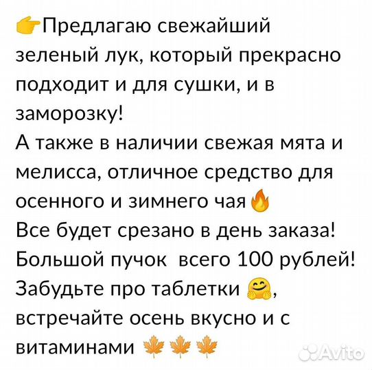 Зелень укроп петрушка лук
