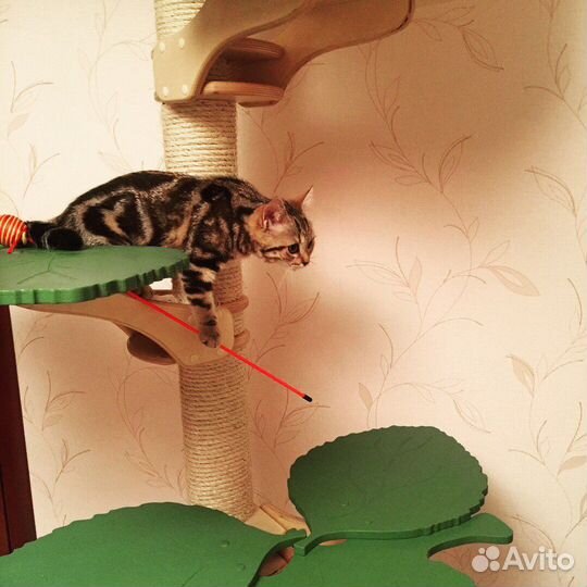 Игровой комплекс для кошек