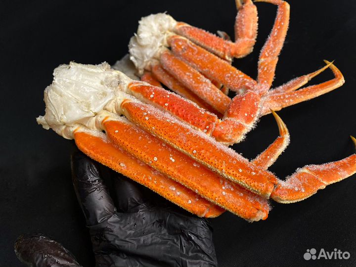 Краб стригун конечности (опилио)