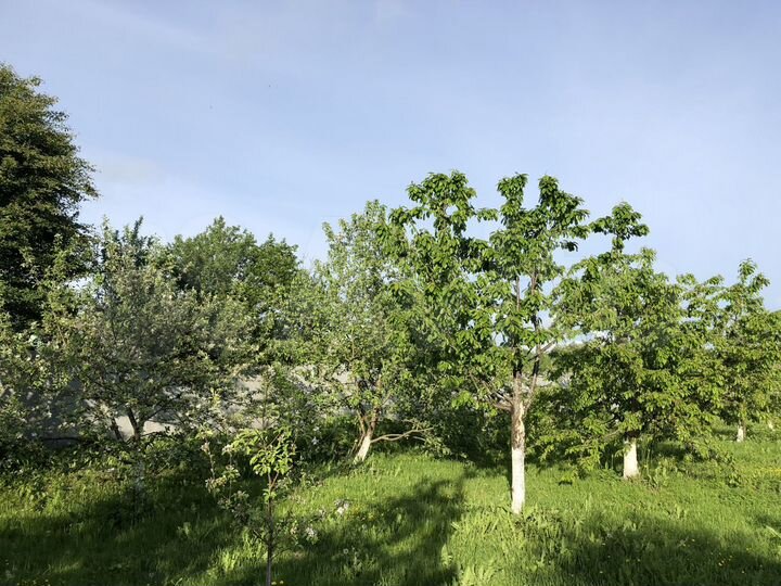 Дом 225 м² на участке 18 сот.