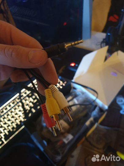 Кабли-Тюльпаны